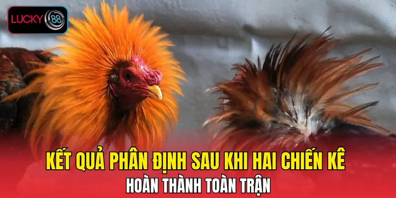 Kết quả phân định sau khi hai chiến kê hoàn thành toàn trận Kết quả phân định sau khi hai chiến kê hoàn thành toàn trận