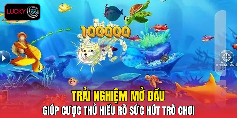 Trải nghiệm mở đầu giúp cược thủ hiểu rõ sức hút trò chơi Trải nghiệm mở đầu giúp cược thủ hiểu rõ sức hút trò chơi