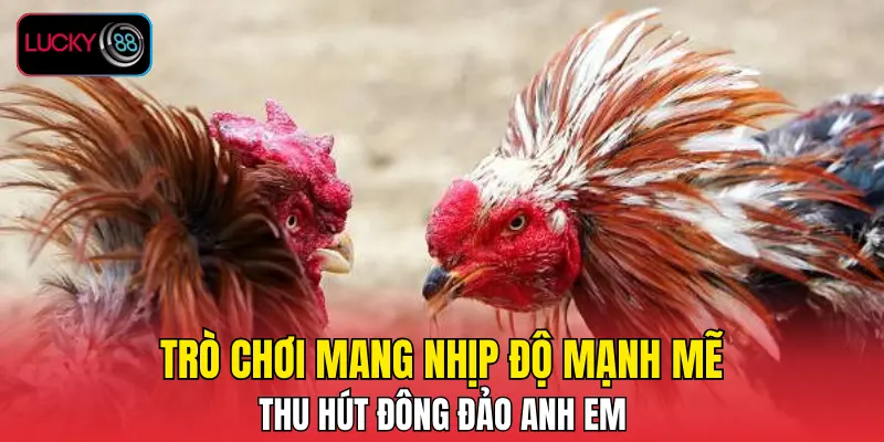 Trò chơi mang nhịp độ mạnh mẽ thu hút đông đảo anh em Trò chơi mang nhịp độ mạnh mẽ thu hút đông đảo anh em