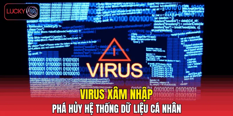 Virus xâm nhập phá hủy hệ thống dữ liệu cá nhân Virus xâm nhập phá hủy hệ thống dữ liệu cá nhân